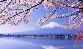 富士山靜岡迷你週遊券實測｜3天玩透不踩雷✨