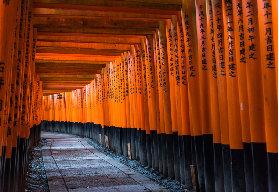 京都一日遊實走｜伏見稻荷鳥居隧道+清水寺舞臺+嵐山竹林超讚！🌿