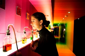 阿姆斯特丹3合1實測｜梵谷+運河+波士之家一次玩透✨