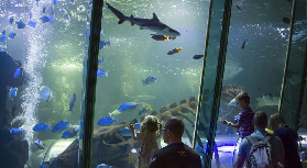 英國諾福克隱藏版！亨斯坦頓海洋館實測｜海豹救援+水獺超萌互動👀