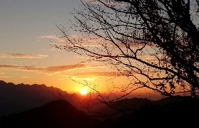 桃園東眼山實測｜1.5小時抵北部最大森林！門票超劃算+隱藏亮點公開✨