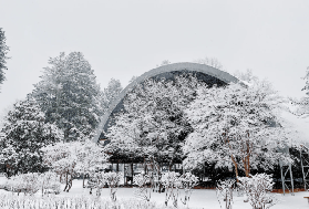 南怡島冬日詩篇：在靜謐雪境中，與自己溫柔相遇