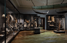 維也納世界博物館攻略｜5個必知亮點+預訂小技巧｜免費兒童票看這裡🔥