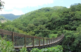 屏東雙流瀑布實測！3個隱藏玩法+避坑指南✨