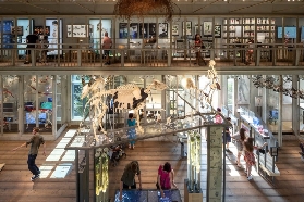 阿姆斯特丹必玩！ARTIS一票三景實測｜避坑&隱藏玩法