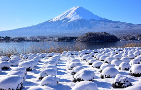 富士山一日遊實測！這4個體驗讓我不想走🤩
