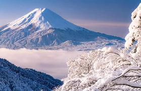 富士山一日遊預訂必看！3個選品坑我幫你避了✨