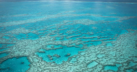 凱恩斯跳傘初體驗｜60秒自由落體衝200km/h！大堡礁鳥瞰美到哭😭