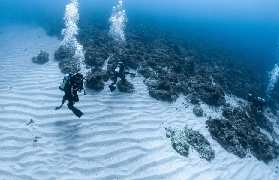 小琉球潛水初體驗｜PADI證get！和海龜同遊超讚✨