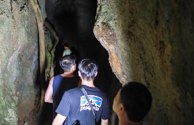 墾丁夜探潮間帶實測｜避開人潮解鎖超神秘海洋生物✨