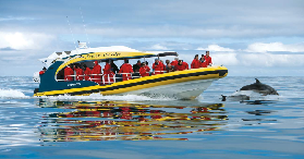 霍巴特塔斯曼島遊船實測｜選惡魔公園定亞瑟港？避坑指南✨
