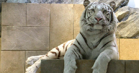 大阪NIFREL實玩日記｜7大主題區隱藏亮點大公開🤩