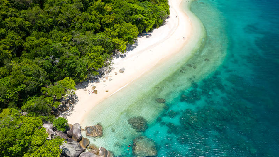 凱恩斯斐茲洛伊島一日遊避坑指南｜5個必看細節別忽略💡