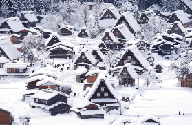 高山市+白川鄉一日遊實測｜預訂前必看3個避坑點✨