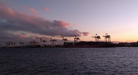 東京灣遊船之旅｜3個必避坑點+實用總結✨