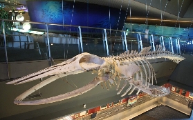 宜蘭蘭陽博物館實測｜5個必知避坑點+預約技巧✨