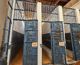 臺南文化半日遊總結｜必看避坑+實用建議，計劃前往必收藏📝