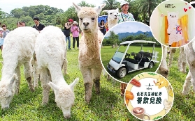 新竹綠世界實測｜亞洲最大雨林園區！羊駝散步+鳥兒飛過頭超讚✨