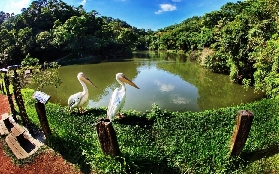 新竹綠世界門票攻略｜港澳人去臺灣玩必看！門票優惠/兌換細則超抵✨