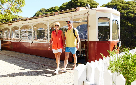 羅特尼斯島環島遊實測｜短尾矮袋鼠超萌！3個必去景點不踩雷🤩