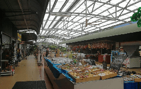 凱恩斯庫蘭達一日遊｜實測！雨林+動物+纜車超讚體驗🤩