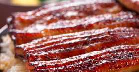 伊豆箱根週遊券實測｜3個必知避坑點+行程規劃｜省錢又省時💡