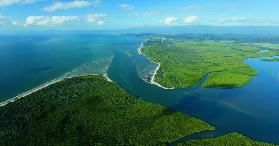 凱恩斯一日遊實測｜苦難角+丹翠雨林避坑指南！搭車超方便✨