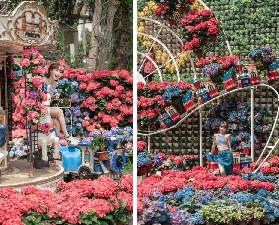 苗栗花露農場超抵！門票折100+花海拍不停📸