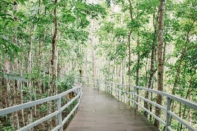 宿霧野生動物園保姆級攻略｜親子同遊必看！3小時玩透透