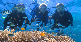 澳洲大堡礁實測｜銀梭號阿金考特礁必睇避坑指南✨