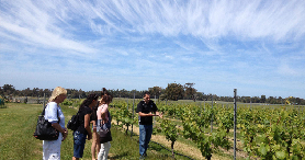珀斯出發瑪格麗特河2日遊｜酒莊+燈塔+兩洋交匯｜真實體驗避坑指南