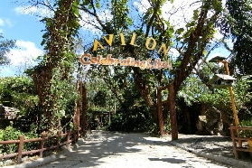 菲律賓黎剎Avilon動物園｜親子出遊超抵！3000+動物近距離互動實測✨