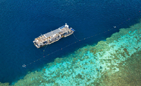 大堡礁一日遊實測｜艾爾利海灘出發超讚！這些亮點別錯過🤩