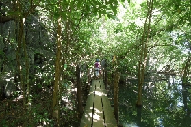 愛妮島Via Ferrata實測！3小時高空雨林冒險超讚✨