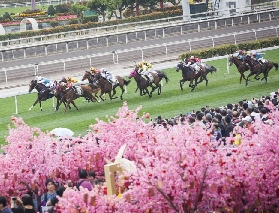 發掘香港賽馬運動--沙田馬場