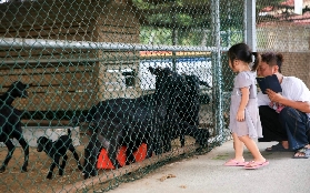臺南走馬瀨農場實測！親子放電一日遊這樣玩才對✨避坑指南