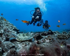 墾丁藍洞潛水預訂必睇！3個選品考量唔好忽略✨