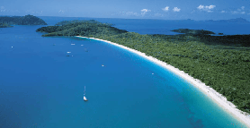 【澳洲實測】白天堂海灘+希爾灣一日遊｜預訂前必看3個重點✨