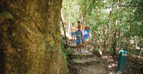 聖靈群島一日遊｜白天堂海灘+希爾灣必玩！這5件事別漏📝