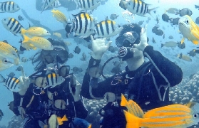 墾丁潛水選這家！港澳仔實測放呆潛水超抵玩✨