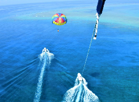 沖繩賞鯨實測｜渡嘉敷島超讚體驗！看見巨鯨跳躍🥹