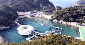 靜岡下田水族館實測｜3避坑點+4超讚體驗🐬