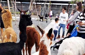 墾丁親子遊必睇！墾草趣門票預訂前3個隱藏要點｜超抵玩又唔踩坑✨