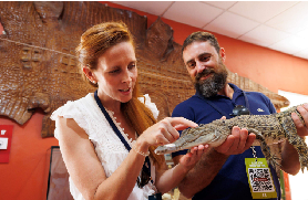 達爾文巨鱷餵食體驗｜真實測評！VIP通道免排隊+抱幼鱷超驚喜✨