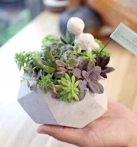 臺北原生態手作體驗｜避坑總結+行程規劃指南📝