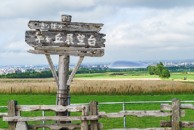 札幌羊之丘展望臺實測｜3隱藏攝影點+2避坑提醒｜超上鏡der✨
