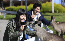 栃木那須動物王國預訂前必看｜票券兌換/冬季營業時間超重要！