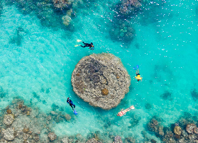 【家庭遊必看】聖靈群島白天堂海灘一日遊｜親子同樂超夯行程！