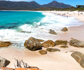 塔斯馬尼亞酒杯灣一日遊實測｜1.5小時徒步換仙境值嗎？避坑全攻略✨