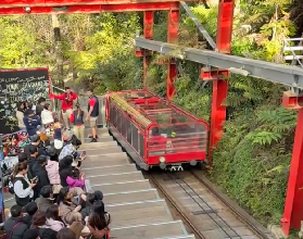 悉尼藍山一日探險全攻略 | 纜車、雨林與懸崖的完美交響曲